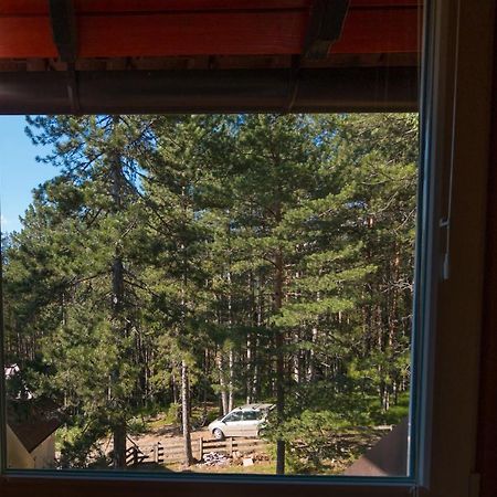 Zavicaj Apartmani3 Zaovine Exteriör bild